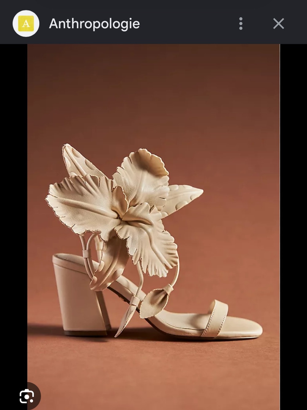 Cecelia New York sandals